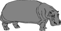 HIPPO001.CMX