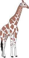 GIRAFFE1.CMX