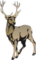 ELK1.CMX