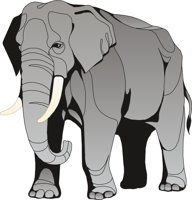 ELEPHNT3.CMX