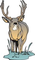 DEERMULE.CMX