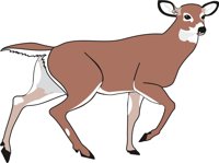 DEER3.CMX