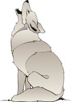 COYOTE.CMX