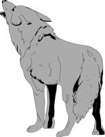 COYOT001.CMX