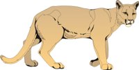 COUGAR1.CMX