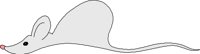 CMOUS004.CMX