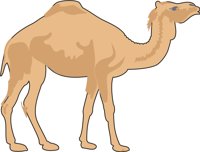 CAMEL4.CMX