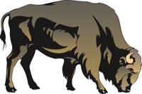 BUFFALO1.CMX