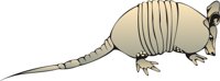 ARMADLO1.CMX