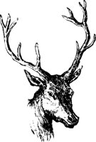 ANWL0156.CMX