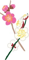 UME.CMX