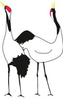 TSURU.CMX