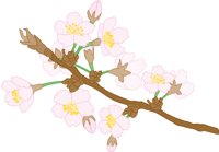 SAKURA.CMX
