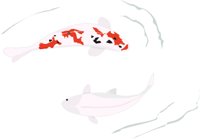 KOI.CMX