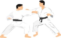 KARATE3.CMX
