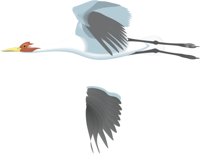 WHOOPER.CMX