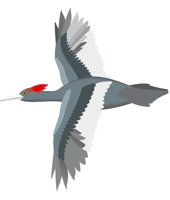 WDPKRIVB.CMX