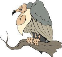 VULTURE3.CMX