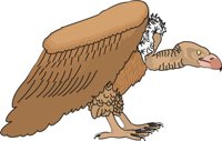 VULTURE.CMX