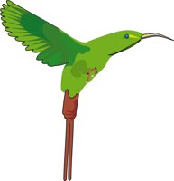 SUNBIRD.CMX