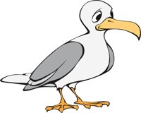 SEAGULL.CMX