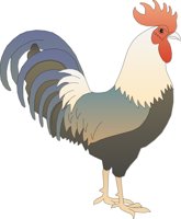 ROOSTER4.CMX