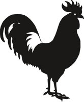 ROOSTER3.CMX