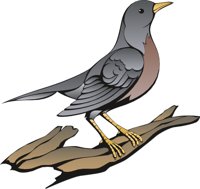 ROBIN3.CMX