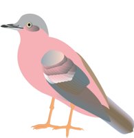 PLPIGEON.CMX