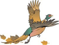 PHEASNT2.CMX