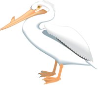 PELICANW.CMX