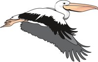 PELICAN3.CMX