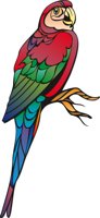 PARROT6.CMX