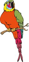 PARROT5.CMX