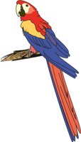 PARROT4.CMX
