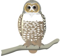 OWLSPOTD.CMX