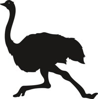 OSTRICH4.CMX