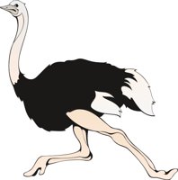 OSTRICH3.CMX