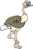 OSTRICH2.CMX