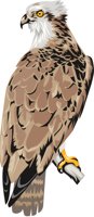 OSPREY2.CMX