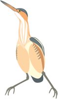 LBITTERN.CMX