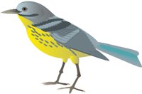 KIRTWARB.CMX