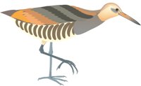 KINGRAIL.CMX