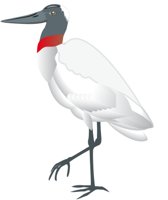 JABIRU.CMX