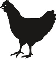HEN6.CMX