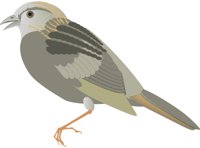 GRASSPAR.CMX