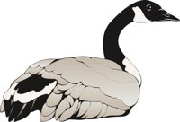 GOOSE3.CMX