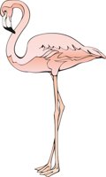 FLAMNGO.CMX