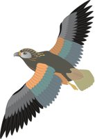 FERRHAWK.CMX