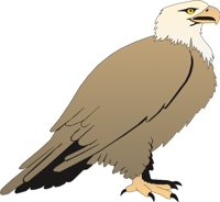 EAGLE3.CMX